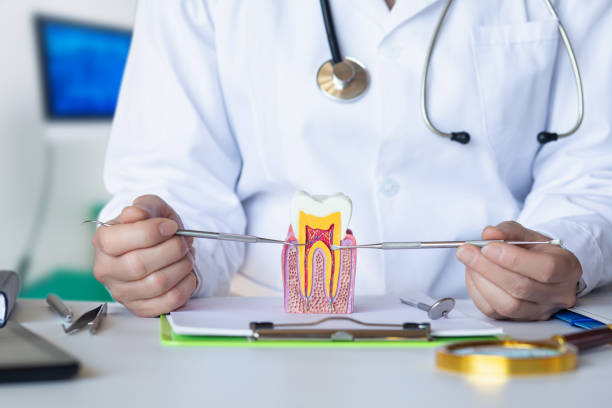 Best Emergency Dental Care for Sports Injuries in Gananda, NY